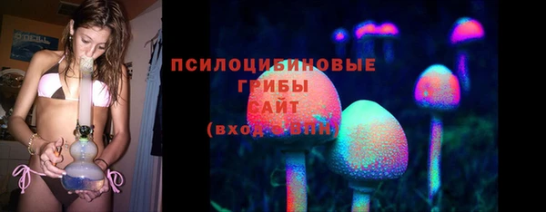 apvp Козловка