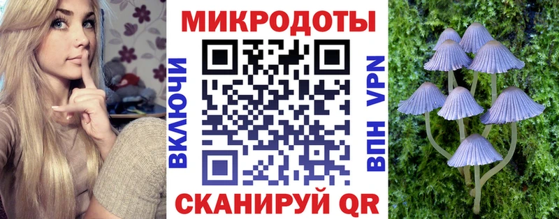 Купить  Вятские Поляны  Псилоцибиновые грибы Magic Shrooms 
